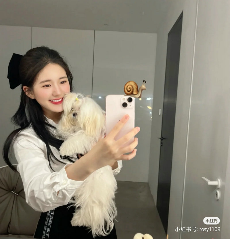 陈乔恩和老公定居哪里