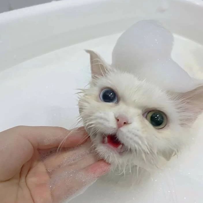 彩虹动力火车 彩虹 动力火车 简谱