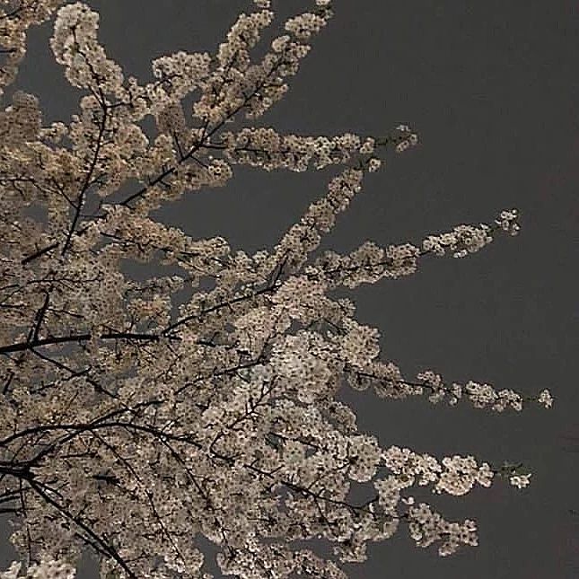 大陆最帅100位男星