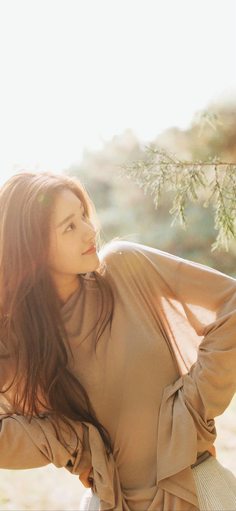 权志龙小松菜奈