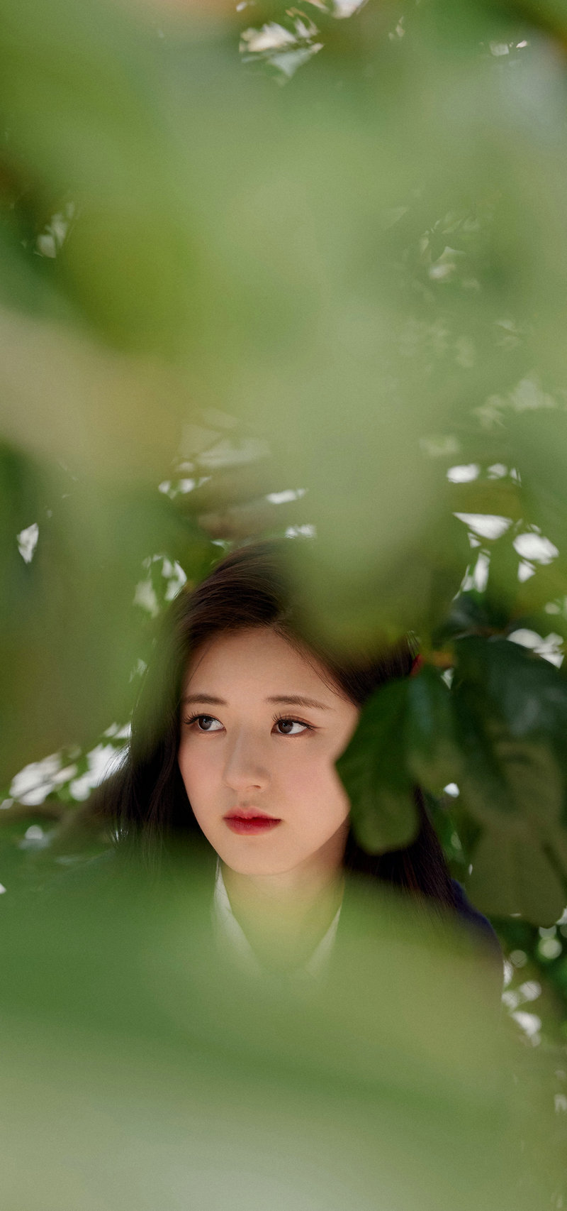 老燕子女儿小四月哪去了 老燕子女儿小四月哪去了