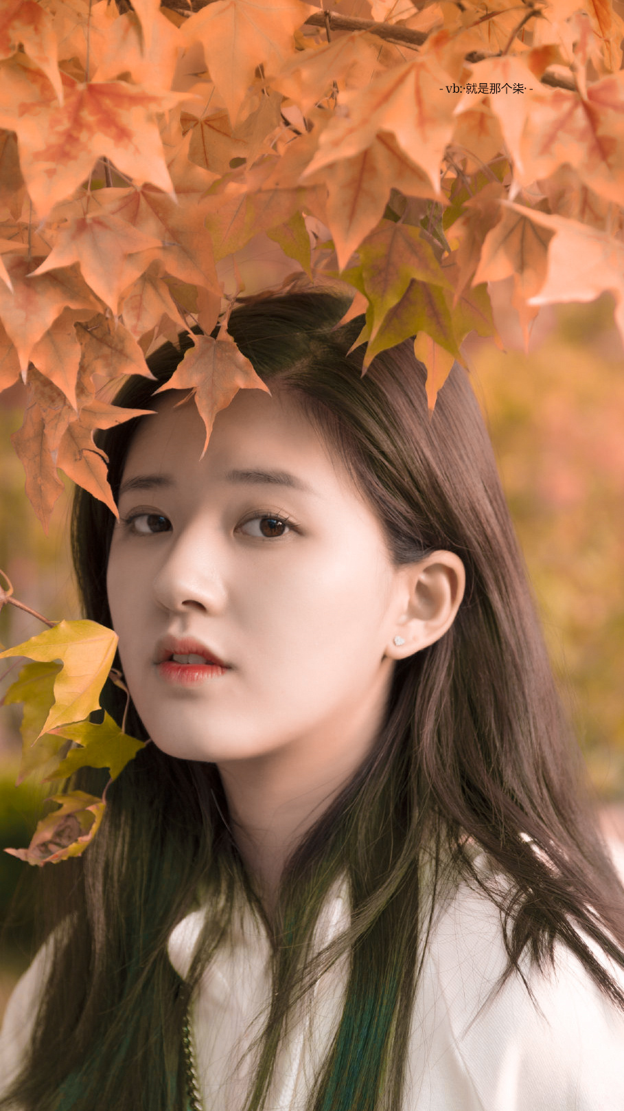 西西里的美丽传说女主角 西西里的美丽传说女主角