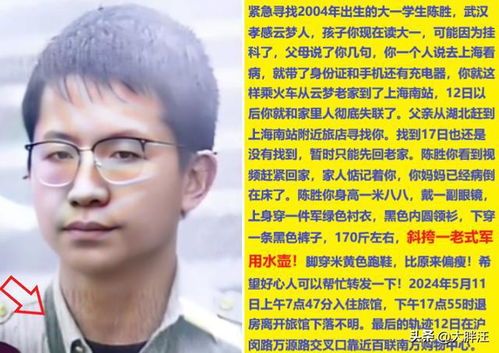 韩国梨泰院踩踏事故已致153人死亡