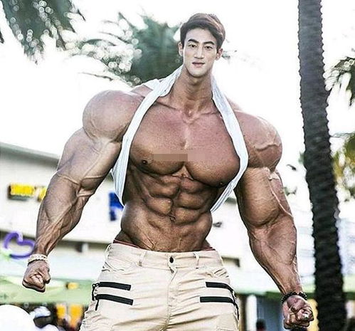 萧正楠简介 萧正楠哪里人