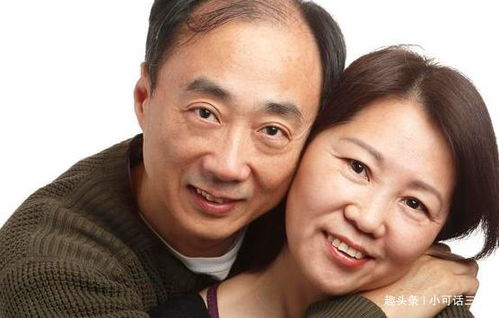 打狗棍电视剧全集免费