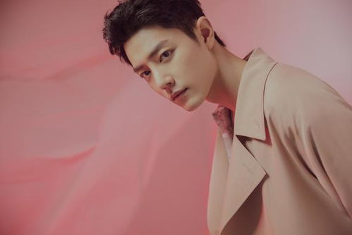 曾黎王耀庆主演电视剧