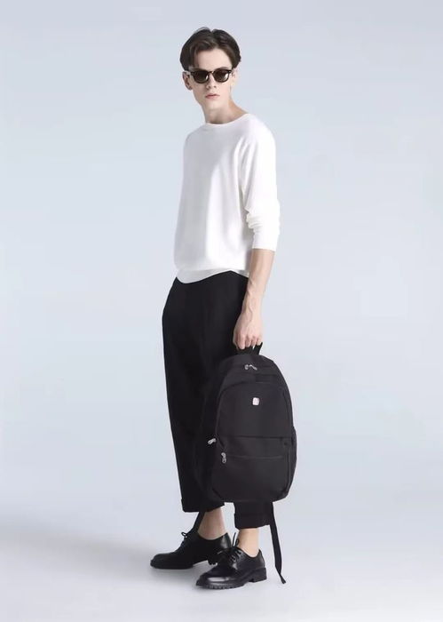 电视剧x女特工演员表