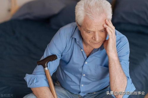 张雨绮演过的电影作品