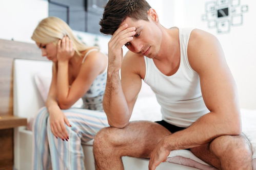 报告老板芈月传演员表 报告老板芈月传演员表