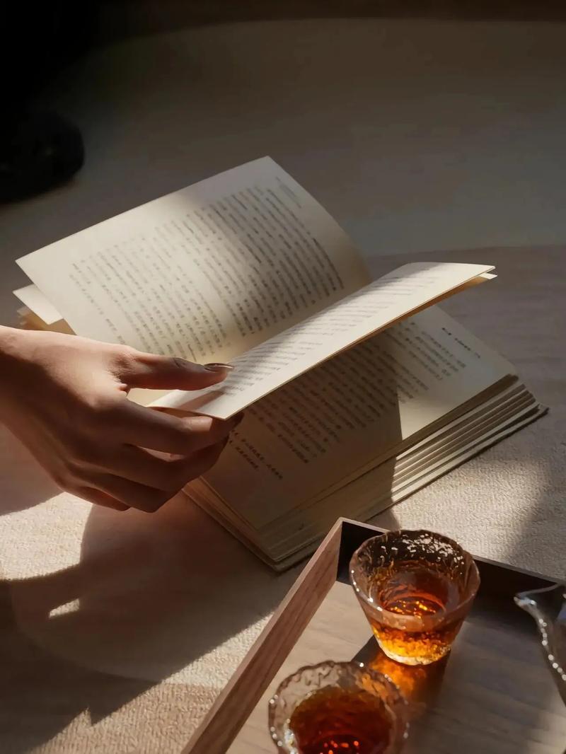 给我你的爱 给我你的爱歌词tank 给我你的爱 给我你的爱歌词tank