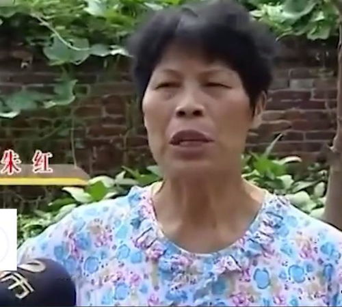 董卿个人资料简介年龄 董卿个人资料简介年龄