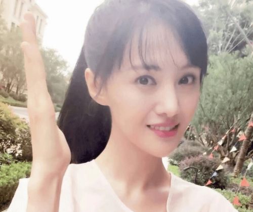 利智个人资料简历李连杰