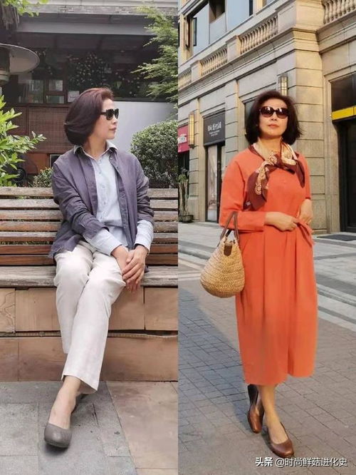 司马懿之军师联盟演员表