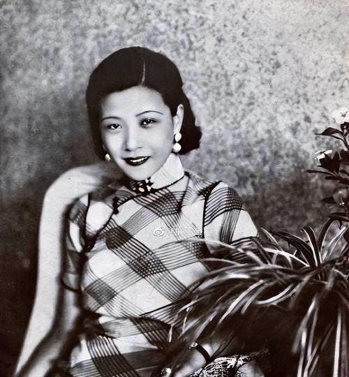 厦门莲花国际 厦门莲花国际