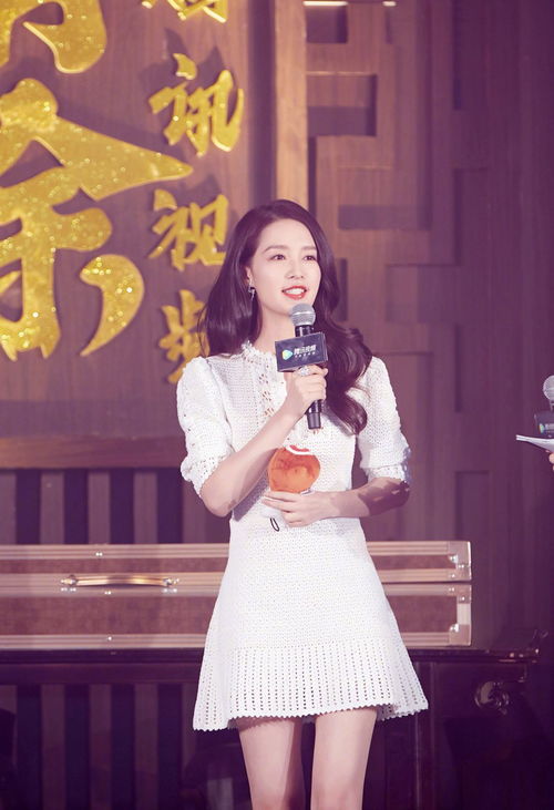 苏东坡水调歌头全文