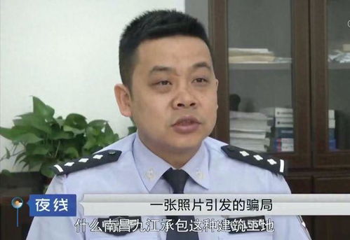 重庆车辆违章查询官方网站