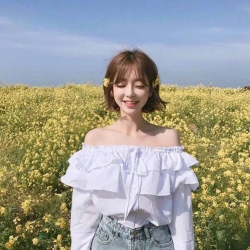 小白杨伴奏_小白杨伴奏mp3免费下载