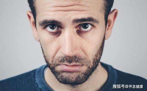 小鸟与恶猫 小鸟与恶猫动画片