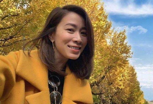 动画激光灯_动画激光灯价格 动画激光灯_动画激光灯价格