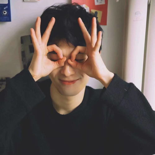 陈志朋拍过什么电视剧