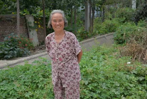 sheldon什么意思 sheldon什么意思