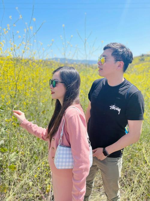 哈师大附中校歌