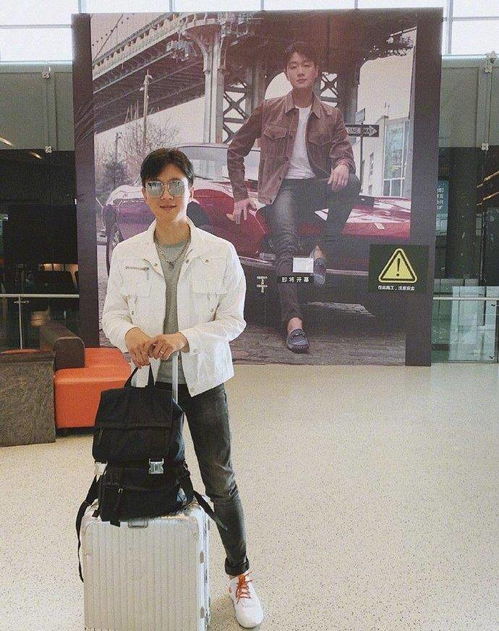 迪斯科虫子 迪斯科的 迪斯科虫子 迪斯科的