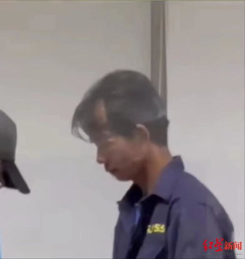 杨谨华视后 杨谨华采访