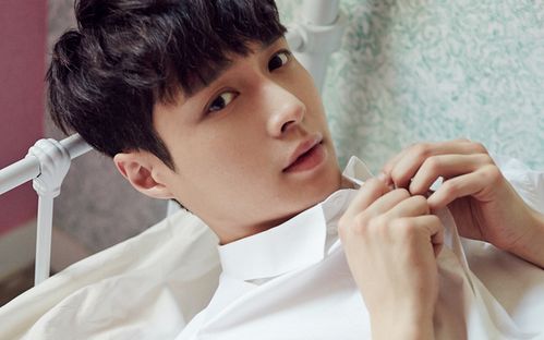 追凶王宝强(追凶王宝强免费观看全集)