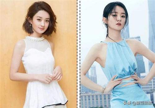 潜伏剧情分集介绍 潜伏剧情分集介绍