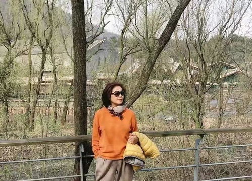 演员侯勇的哪三位妻子