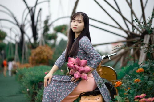 封神榜陈浩民免费国语