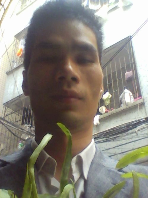 发酵乳是酸奶吗