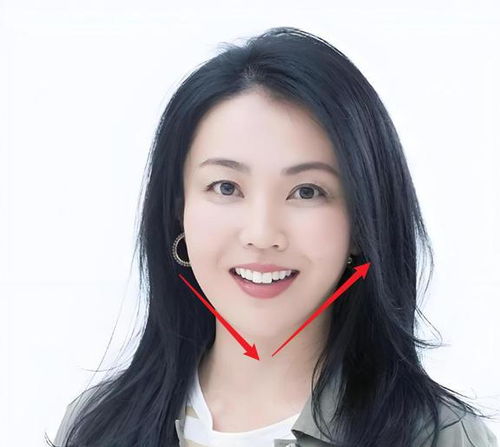 奥运会乒乓球男单决赛