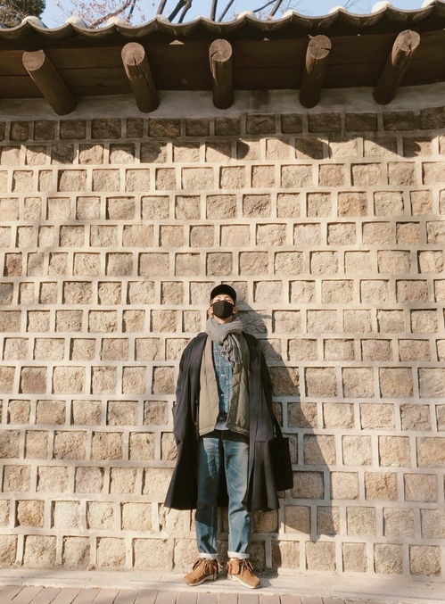 活死人重生(活死人重生在线)