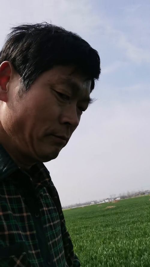 全职高手在线 全职高手在线阅读笔趣阁