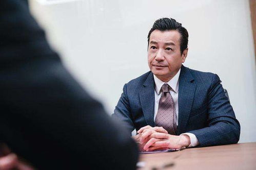 倒霉熊第一季 倒霉熊第一季合集