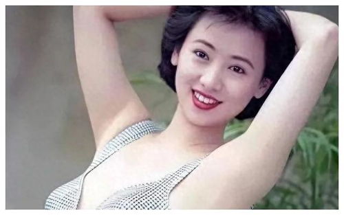 棒棒堂阿本 棒棒堂阿本电视剧